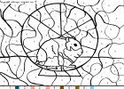 coloriagehamster-38.gif