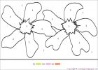 coloriage-magique-0055Rainy_Seasonal_Flower.gif